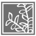 【福岡】陶芸教室やわら木/陶芸体験/出張陶芸/ブライダルギフト/イベント出張